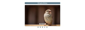 screenshot of SimpleSlider